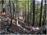 Planina Blato - Planina pod Mišelj vrhom